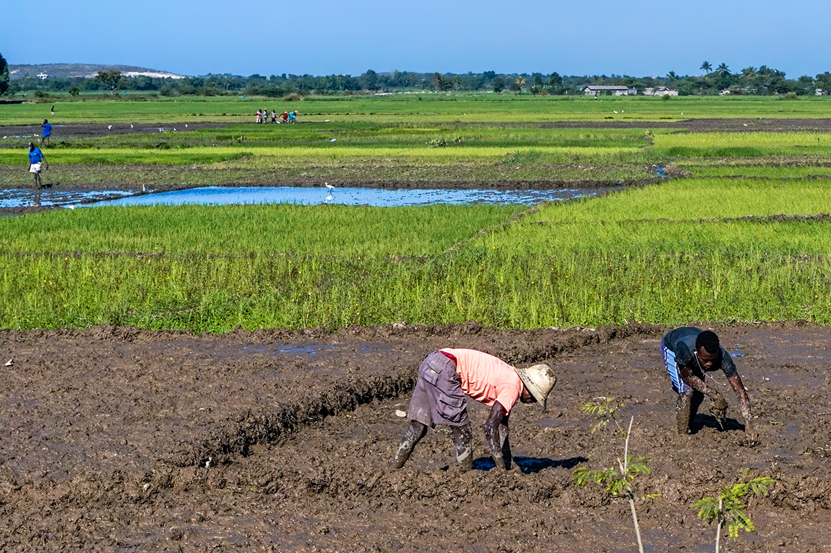 Sustainable Farming Training